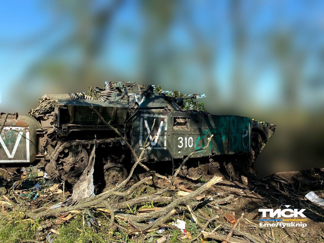 Миниатюра 2