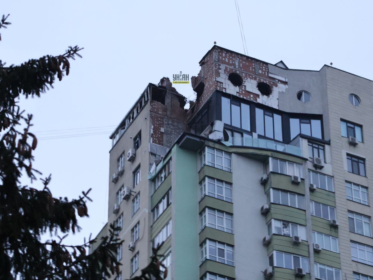 Изображение из галереи